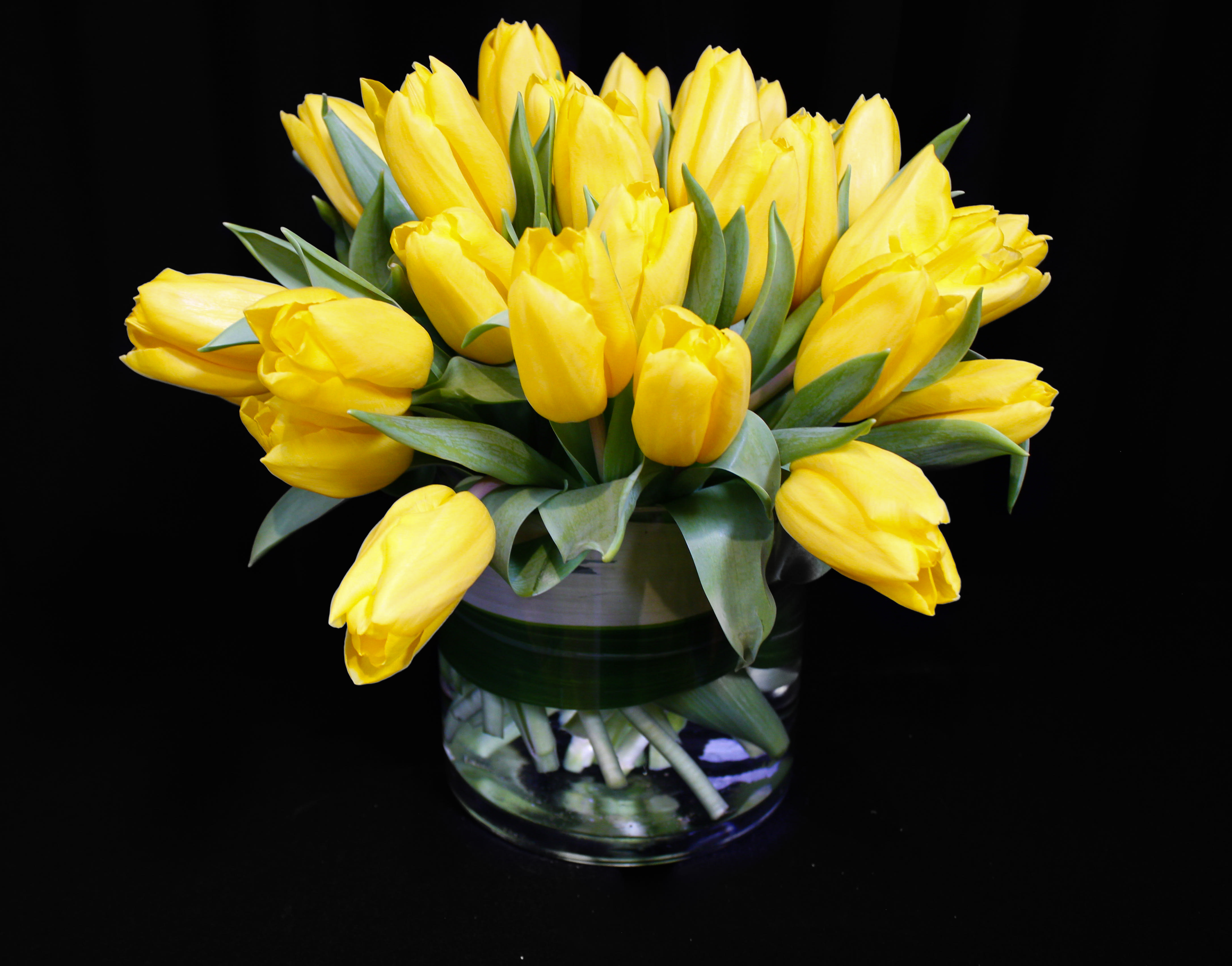 Carla - PLEASE LIST ALTERNATE COLOR CHOICES THAT ARE ACCEPTABLE. Cheerful, bright and just right! These tulips will be the talk of the table! 