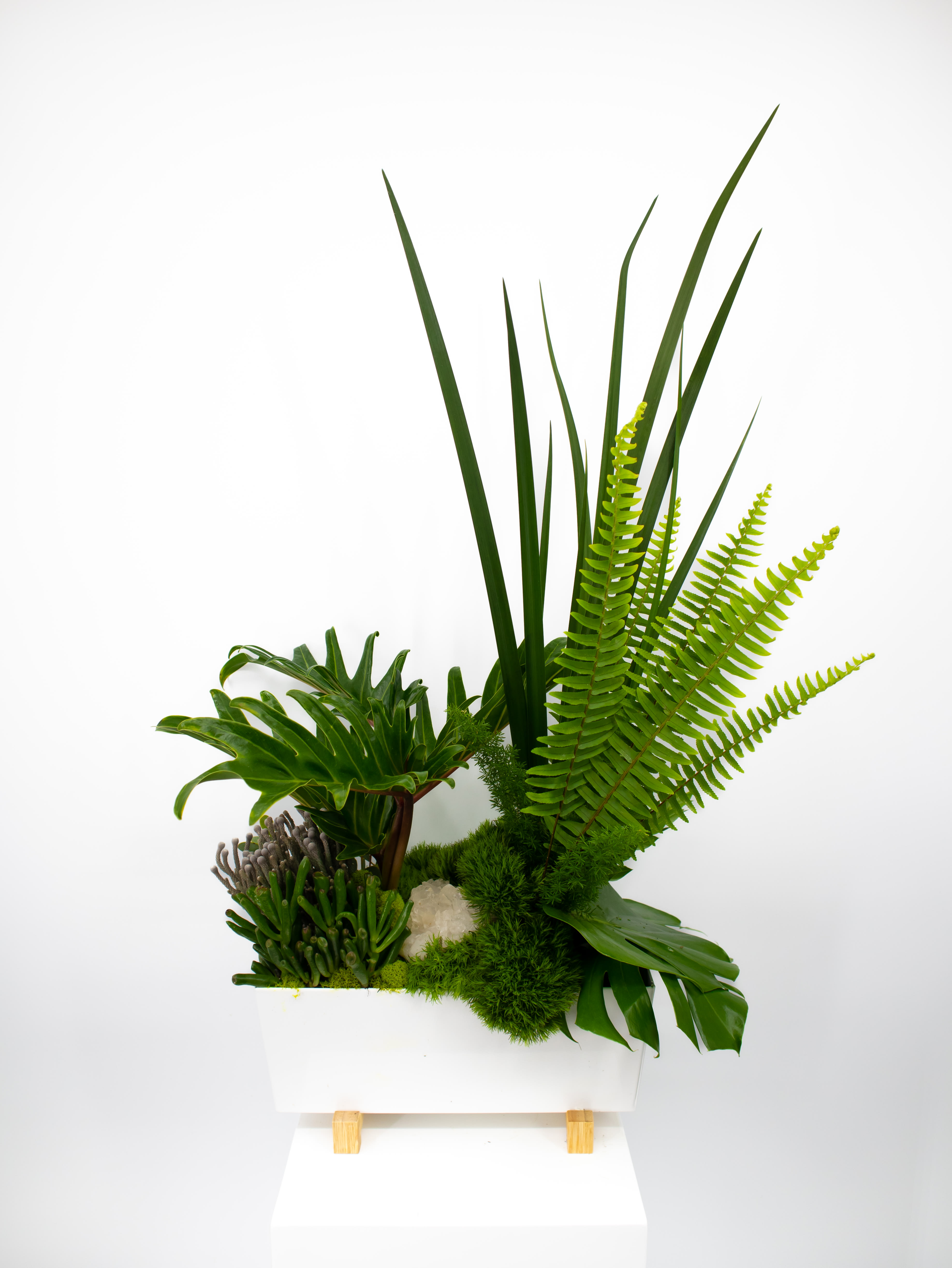 Zander - A stunning arrangement that features succulents, long living foliage then topped off with gorgeous quartz crystals. The fact that it needs little maintenance we feel makes it perfect for any occasion.