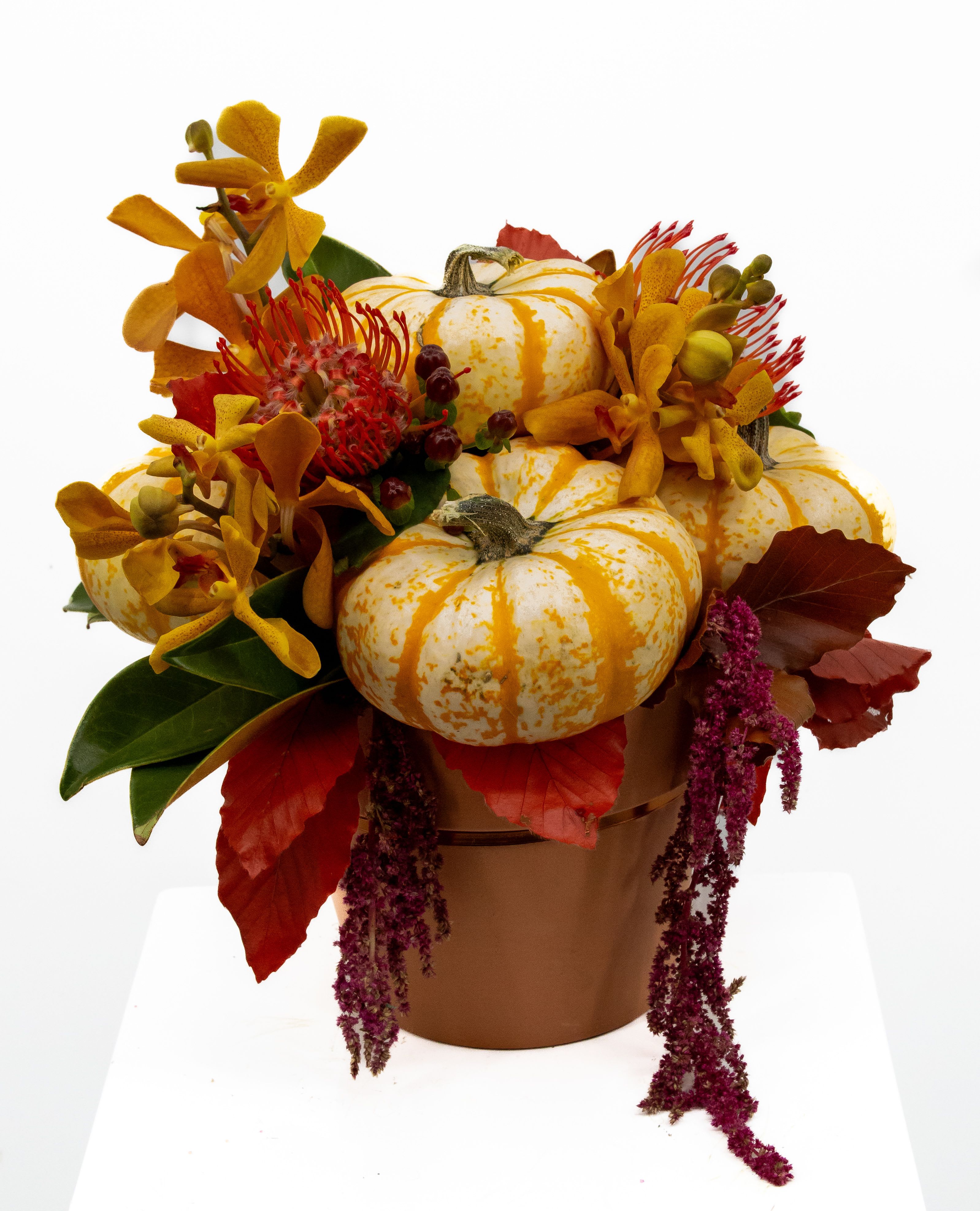 Hazel - A vibrant, autumn-inspired arrangement showcasing mini pumpkins as playful accents. Bold Mokara orchids bring vivid color, paired with striking pincushion proteas for a touch of exotic flair. Cascading amaranthus adds soft texture and movement, while rich brown beech leaves ground the display with a warm, rustic elegance, capturing the spirit of fall beautifully.