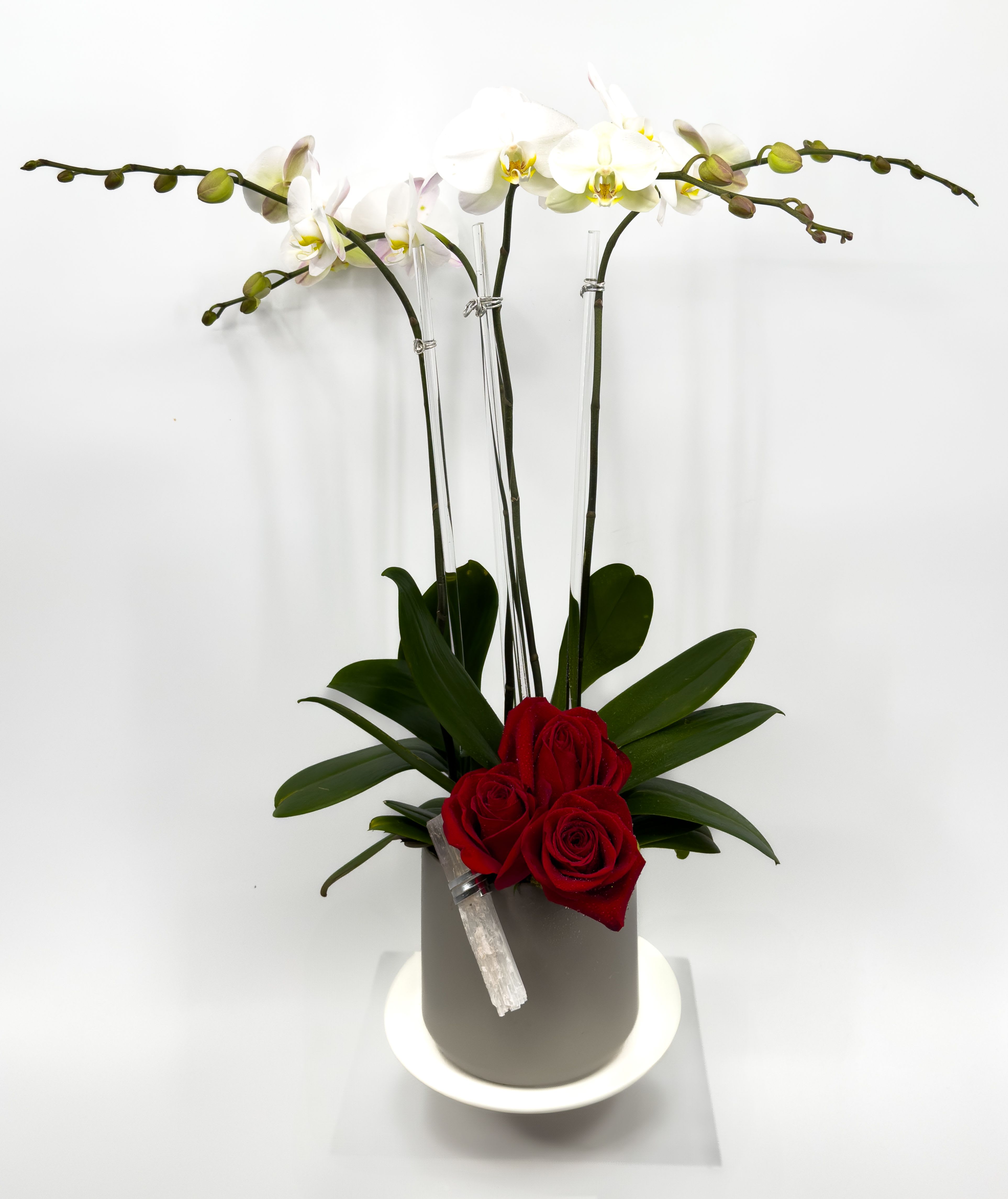 Mercy - A sleek, modern vase cradles a sophisticated arrangement of four delicate orchids, their elegant petals cascading like silk. Interwoven are three velvety roses, rich in colour and softly fragrant, creating a harmonious blend of texture and form. A stunning crystal tops off the arrangement to catche the light, adding a touch of brilliance and ethereal charm to this contemporary masterpiece.