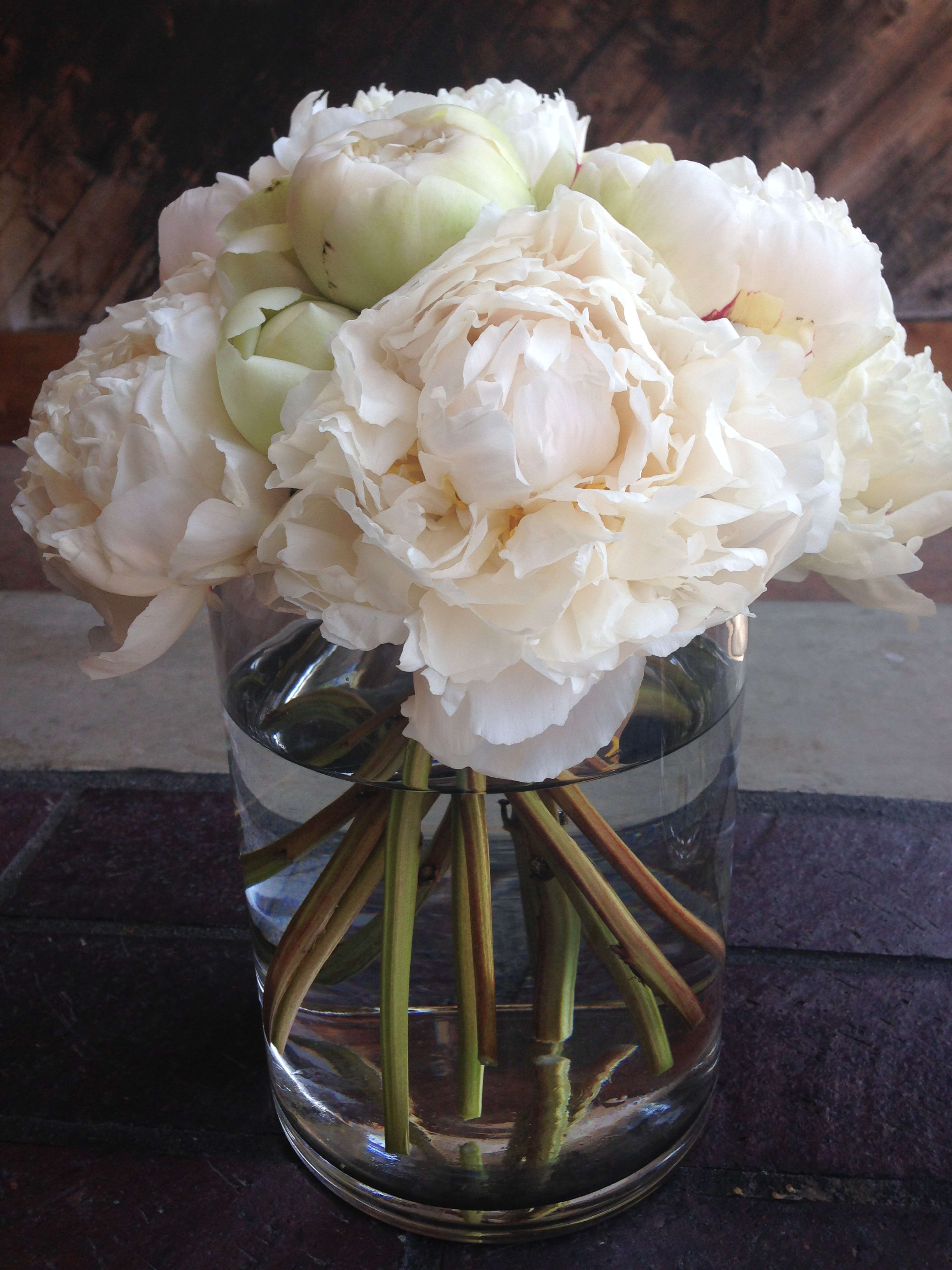 White peonies arranged in a clear glass vase