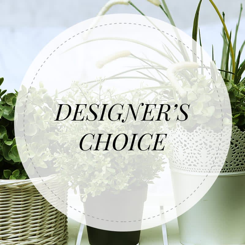 White floral arrangement in a pot with green foliage and a "Designer’s Choice" overlay