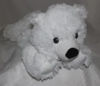 White teddy bear with black eyes and nose
