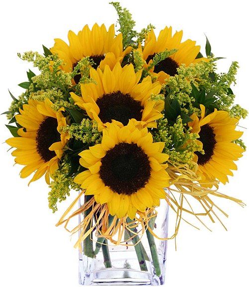 Mellow Yellow - Like a bright, sun-filled sky, the Mellow Yellow fills you with a sense of warmth. This joyful arrangement is a fine example of how such a simple design can be so dramatic. Vibrant sunflowers are accented with solidago, and lush greens for an effect that is nothing less than radiant. This flower display is of course ideal to send to someone who loves sunflowers, but is also a great choice for fans of the color yellow or for when you want to surprise a loved one with a dose of cheer.