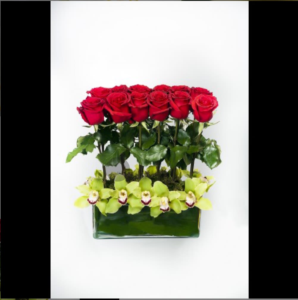 Red roses and green orchids in a rectangular glass vase