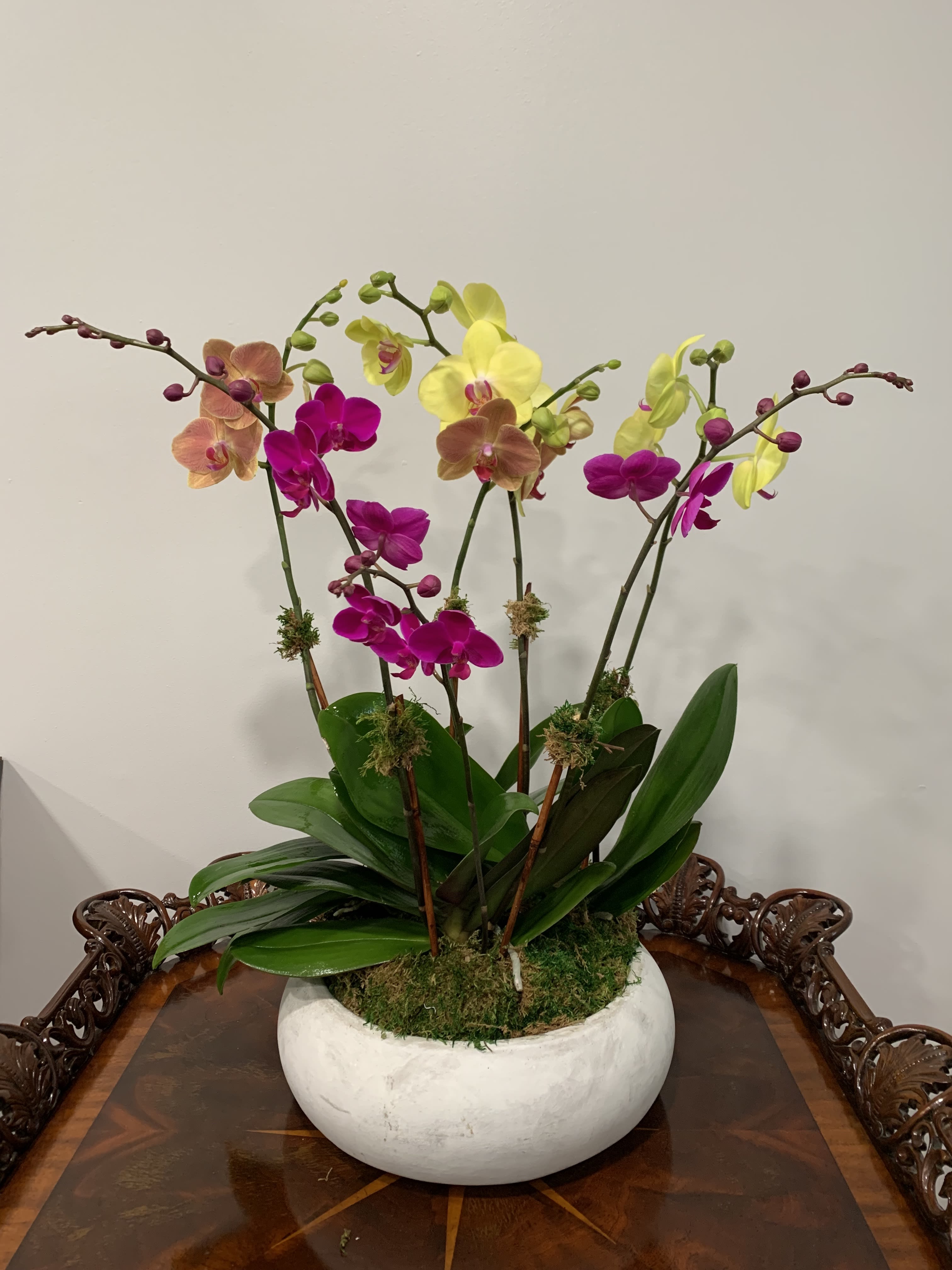 Potted orchid arrangement with pink, yellow, and peach blooms in a white bowl