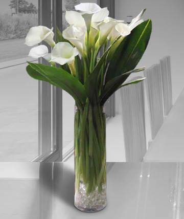 White calla lilies in a clear glass vase