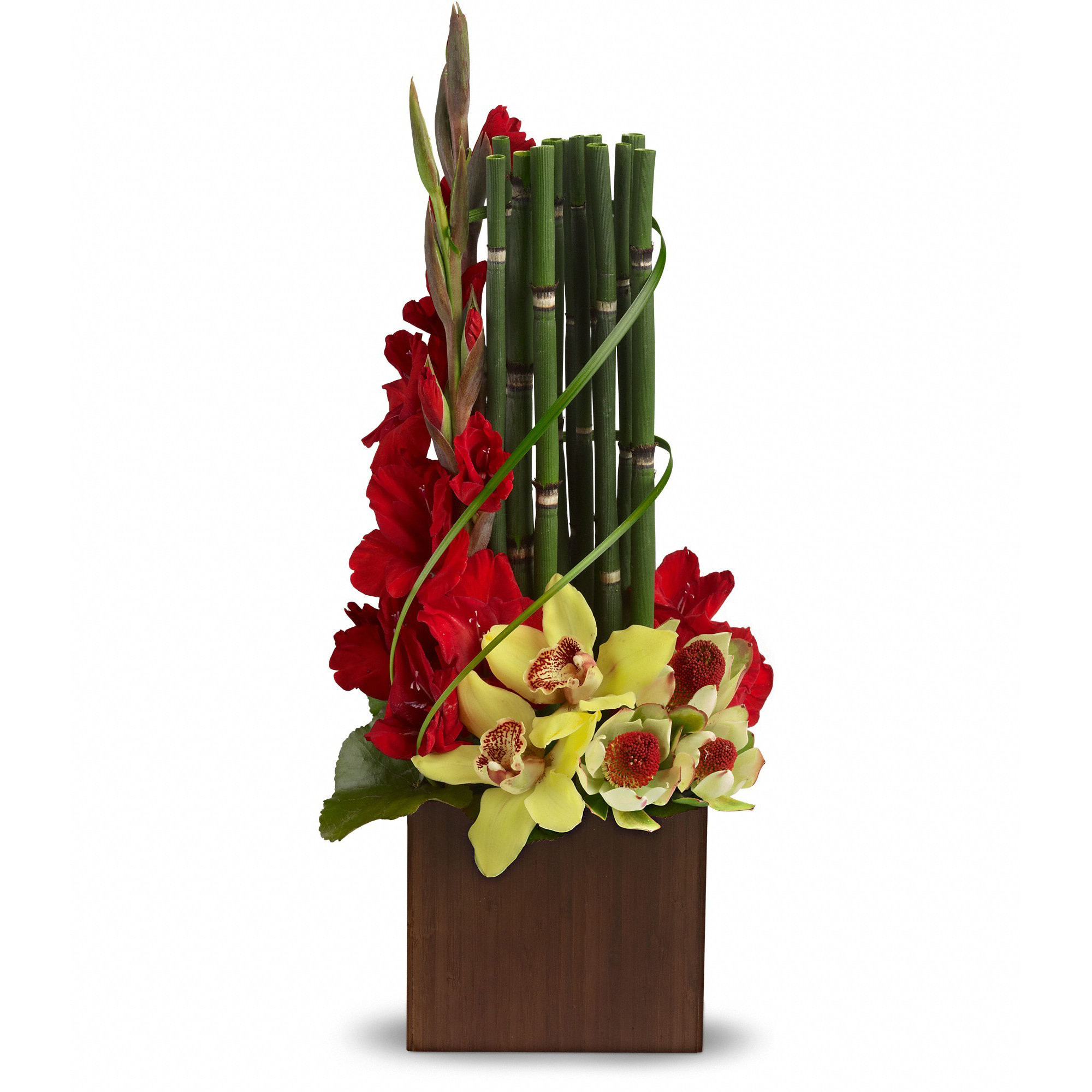 Teleflora's Fantasy Found  - If you know someone whose fantasies might include something found on a tropical island, you've found their perfect arrangement.    Gorgeous yellow cymbidium orchids and leucadendron, red gladioli, lily grass and other tropical greens are delivered in a distinctive keepsake bamboo cube. This gift's a natural.    Approximately 9 1/2" W x 22 1/2" H    Orientation: One-Sided        As Shown : T84-1A      Deluxe : T84-1B      Premium : T84-1C    