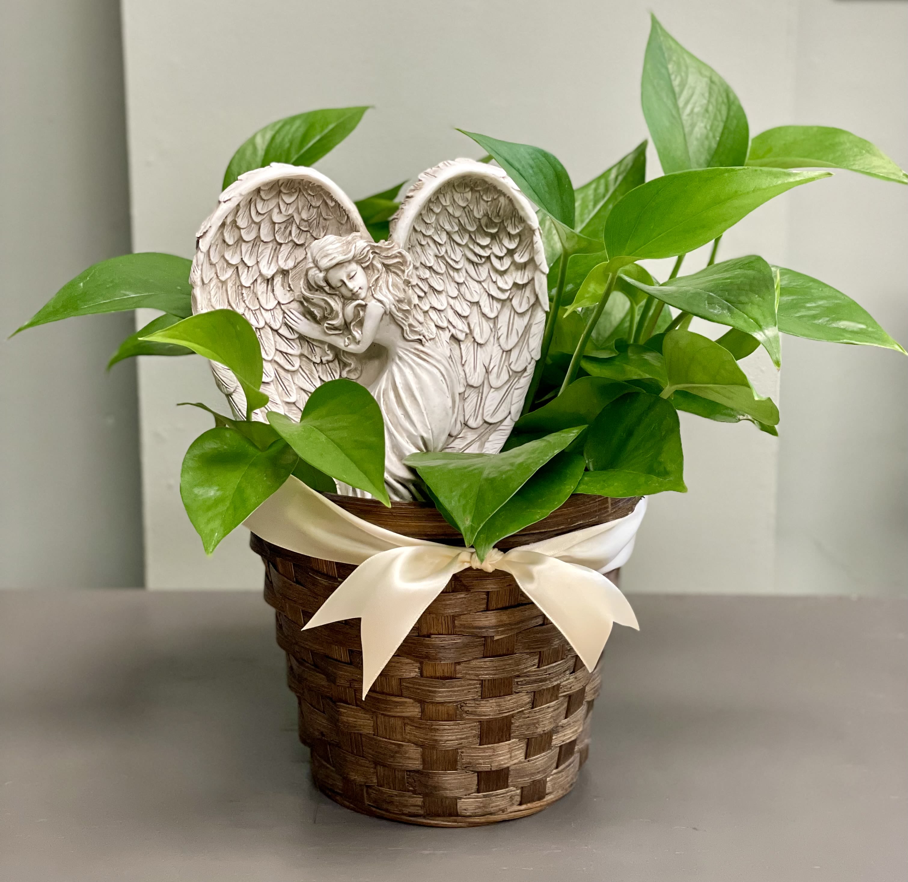 Potted green plant in a woven basket with a white angel ornament