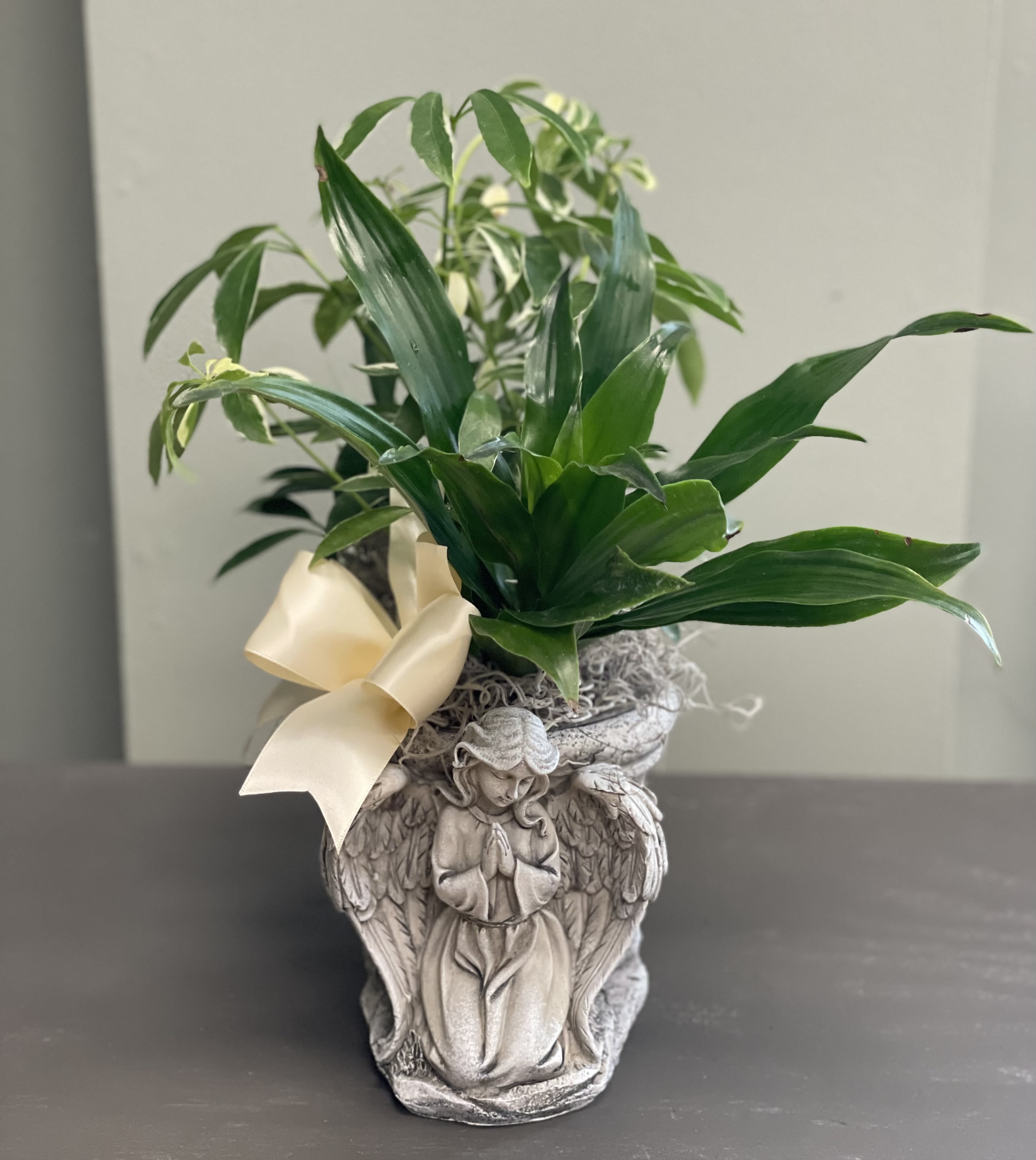 Potted green plant in an angel-shaped decorative container with a ribbon
