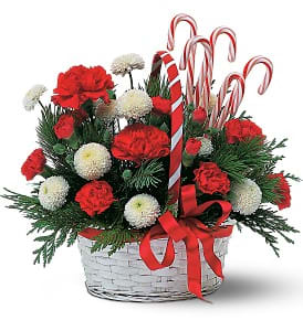 Candy Cane Basket - There's nothing sweeter than sending this festive basket. With its festive flowers and candy canes, it will add delicious decor to any room.  Carnations, chrysanthemums, cedar and fir, along with candy canes, arrive in a white wicker basket with handle, tied together with a red ribbon.  Approximately 13" W x 14" H  Orientation: All-Around  As Shown : TF86-4