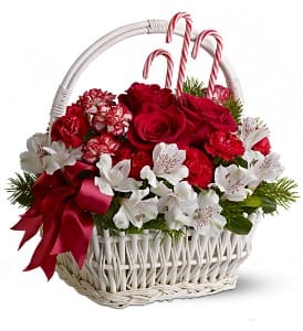 Sweet Celebration Basket - Red roses, mixed blossoms and peppermint candy canes in a white woven basket - now that's a sweet celebration! The perfect holiday gift for friends, an aunt or grandmother, or even a favorite office mate.  A mix of fresh flowers such as red roses, peppermint carnations and white alstroemeria – accented with evergreens and candy canes – is delivered in a white handled basket and adorned with a red ribbon.  Approximately 12" (W) x 14" (H)  Orientation: All-Around  As Shown : TFWEB259