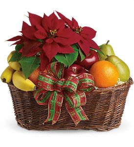 Fruit and Poinsettia Basket - Perfect for family, friends and business associates, this generous gift delivers luscious fresh fruit, a brilliant red poinsettia and a whole lot of holiday cheer.  A beautiful live poinsettia plant is joined by apples, bananas, pears and oranges in a beautiful basket that's all wrapped up with a red and green taffeta ribbon. Your good taste in gifts will surely be appreciated.  Approximately 16" W x 14" H   Please note: All of our bouquets and gift baskets are hand-arranged and delivered locally by professional florists. This item may require additional lead time so same-day delivery is not available.  Orientation: N/A  As Shown : T135-1A Deluxe : T135-1B Premium : T135-1C