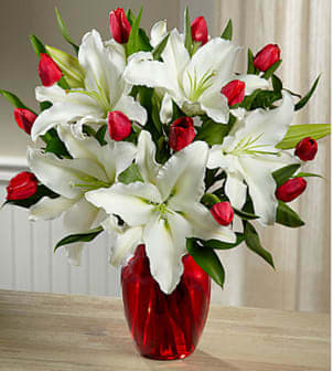 True Joy Bouquet  - Picked fresh from the farm to create a gift of bright beauty and happy wishes, our True Joy Bouquet brings together classic colors that boldly speak to the matters of the heart. Hand gathered in select floral farms and bringing together brilliant reds against clean whites to capture your special recipient's every attention, this stunning mixed flower bouquet has been picked fresh for you the help you create an unforgettable Christmas, Valentine's Day, or happy birthday gift.  This bouquet includes: white Oriental Lilies, red tulips, lush greens, and a classic red glass vase. Bouquet is approximately 18"H x14"W. *May Arrive in Bud Stage. Your purchase includes a complimentary personalized gift message.