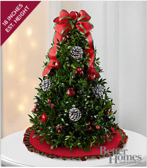 The FTD® Christmas Wonders Tree by Better Homes and Gardens® - FTD® proudly presents the Better Homes and Gardens® Christmas Wonders Tree. Celebrate the season with this sweet holiday tree. A gorgeous 18-inch boxwood tree arrives accented with natural pinecones, berries and pomegranate seated in a metallic gold container. Topped with a red and green ribbon and displayed on a red and green tree skirt, this tree will be a wonderful addition to their holiday decor. Approximately 18-inches in height. Your purchase includes a complimentary personalized gift message.
