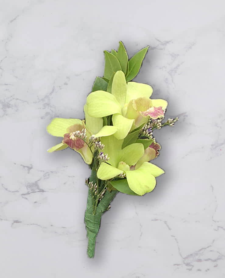 Small lime-green orchid boutonniere with pink accents