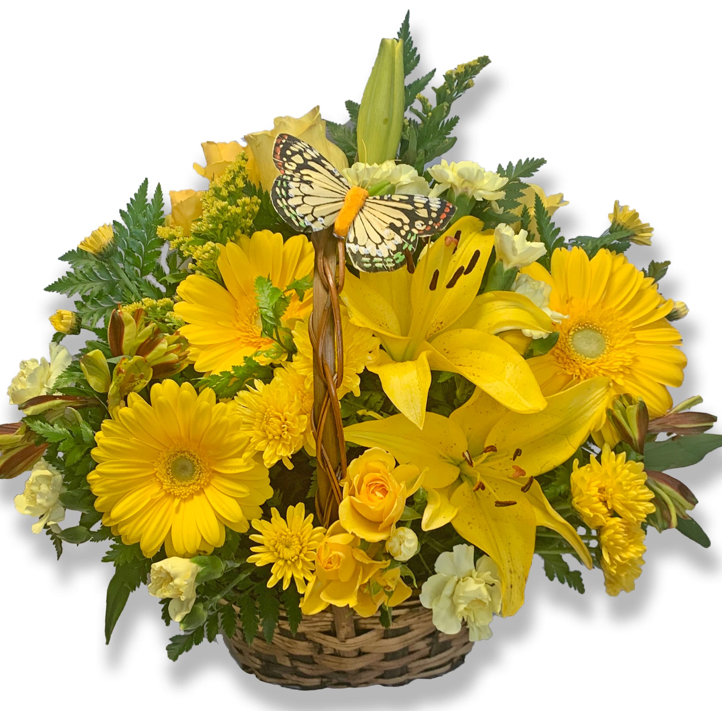 Basket Full of Wishes - Wishes do come true, by the basketful, actually. This delightful arrangement is so full of sunny blossoms, it even includes a pretty yellow butterfly who obviously feels right at home, basking in the warmth.  Brilliant yellow spray roses, asiatic lilies, miniature gerberas, carnations, alstroemeria, button spray chrysanthemums and delightful greenery are joined by a delicate butterfly in an oval basket. It's a basket of wonder and wishes!  Approximately 12" W x 11" H  Orientation: All-Around  As Shown : T27-2A Deluxe : T27-2B Premium : T27-2C