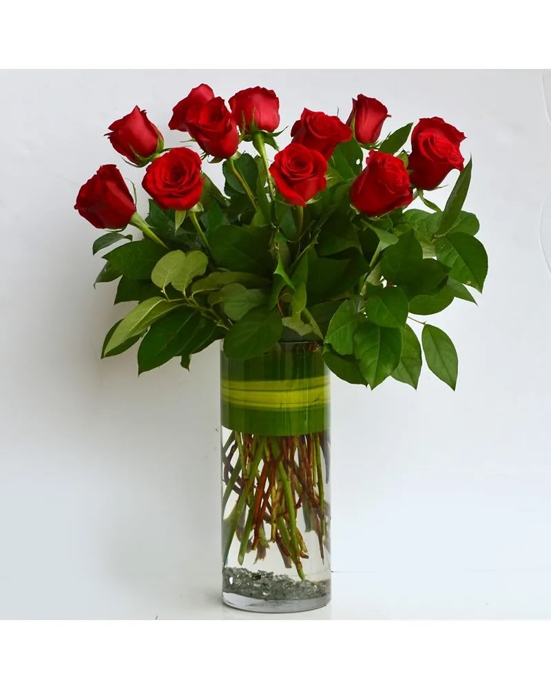 Red roses arranged in a tall glass vase