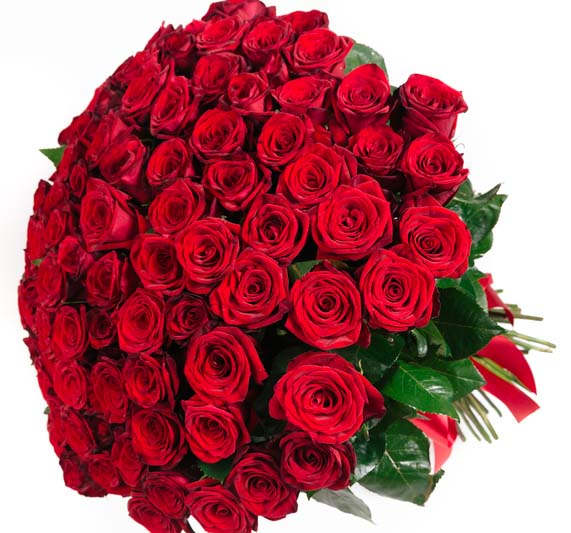 Large bouquet of red roses with green foliage