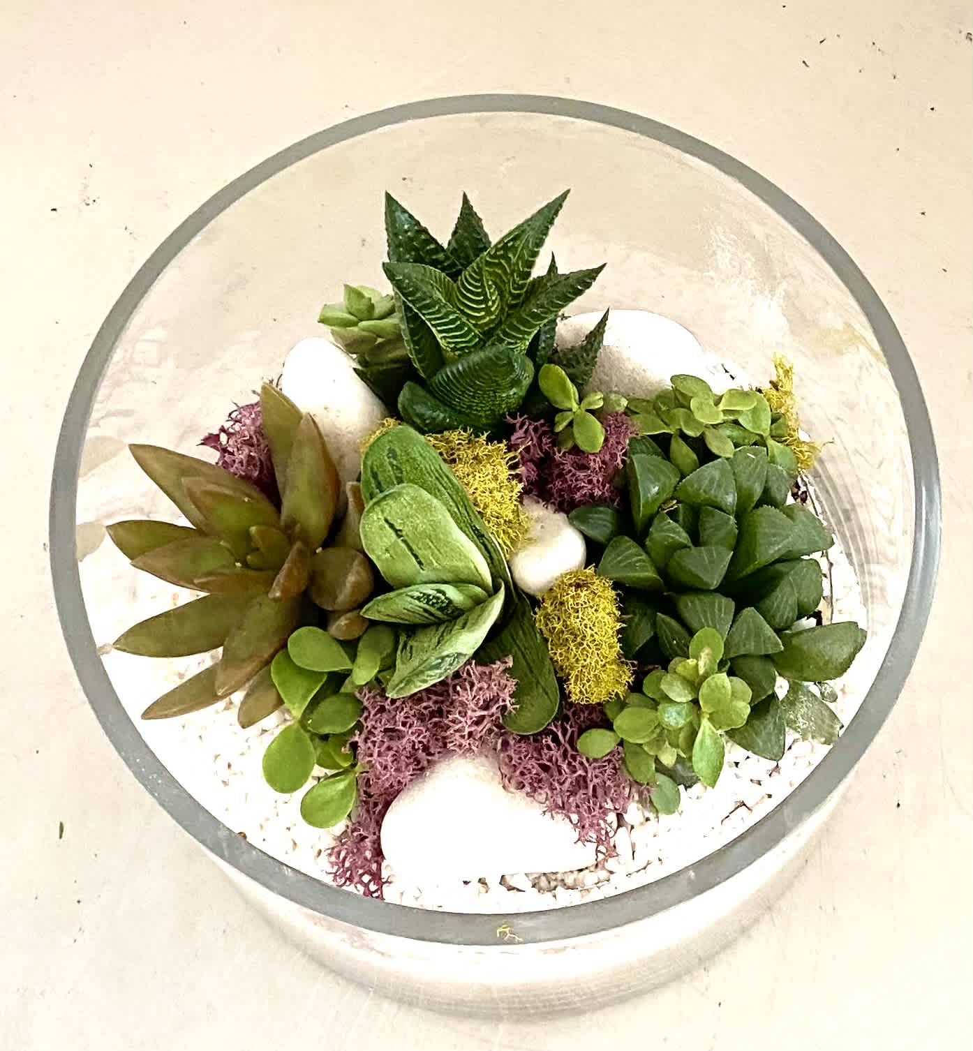 Succulent arrangement in a round glass bowl with white stones
