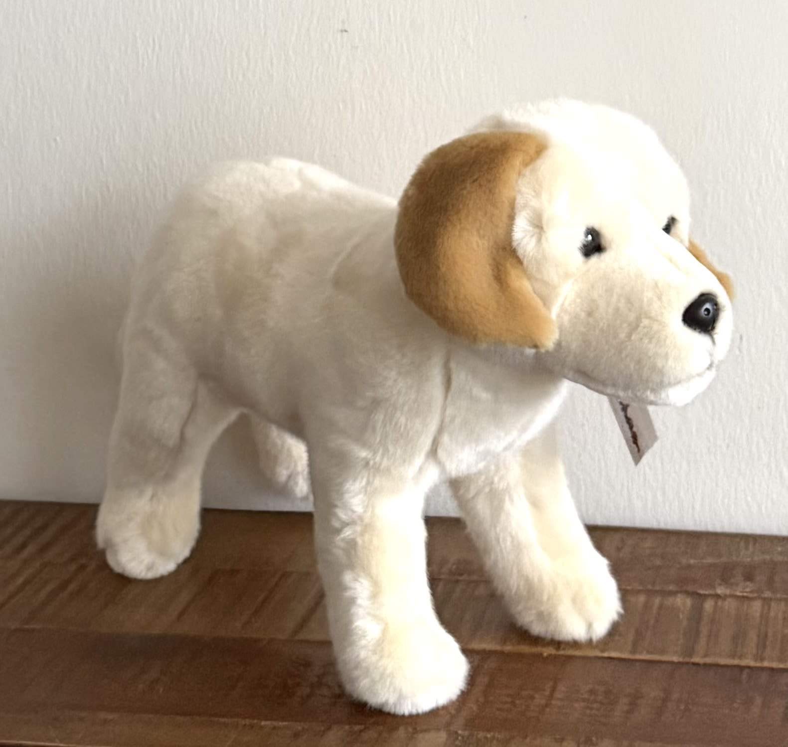 Sully Labrador Retriever plushie - 15” inches in length not including his tail.  10” in height.  Perfect size for hugging and cuddling 