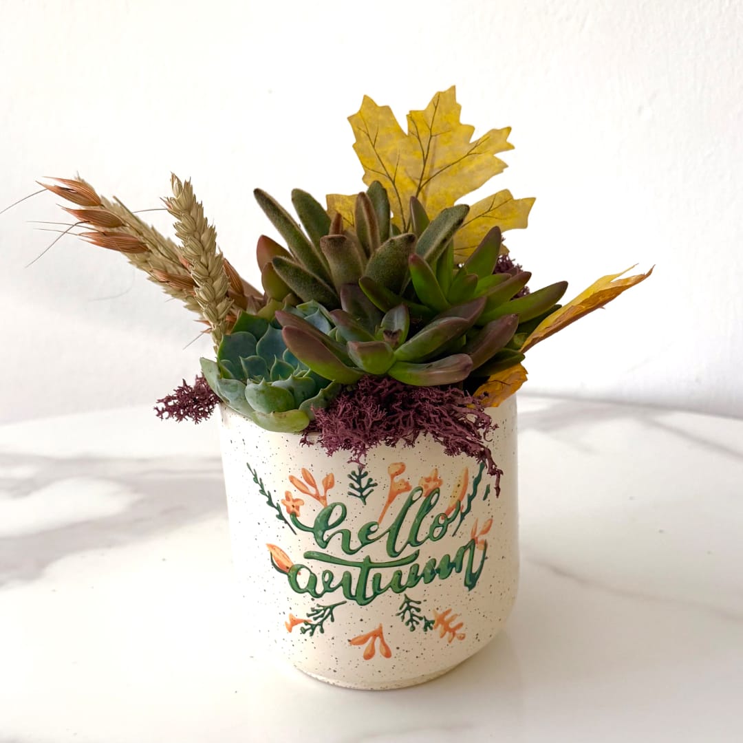 Succulent arrangement in a white speckled pot with autumn lettering