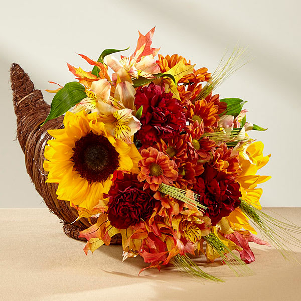 The Fall Harvest Cornucopia  - Capture the essence of the autumn season with this inspiring and colorful arrangement. Rich red roses bright and beautiful sunflowers bronze daisies yellow Peruvian Lilies and burgundy carnations are perfectly arranged in a natural cornucopia basket that speaks of harvest traditions and treasured family gatherings with each gorgeous bloom. A wonderful Thanksgiving centerpiece or hostess gift! GOOD bouquet is approx. 12"H x 11"W. BETTER bouquet is approx. 14"H x 12"W. BEST bouquet is approx. 15"H x 14"W.