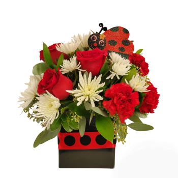 Red roses and white daisies in a ladybug-themed box