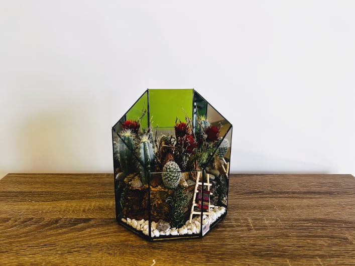 Small terrarium with cacti and succulents in a geometric glass container