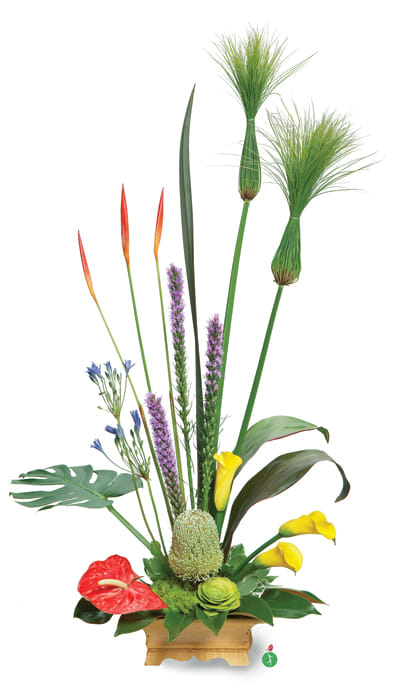 Blaze of Color - This bold mix of exotic tropical elements, greenery and flowers soars upwards in a dramatic arrangement that will capture everyone’s attention! An interesting and long-lasting floral display that will brighten any room.