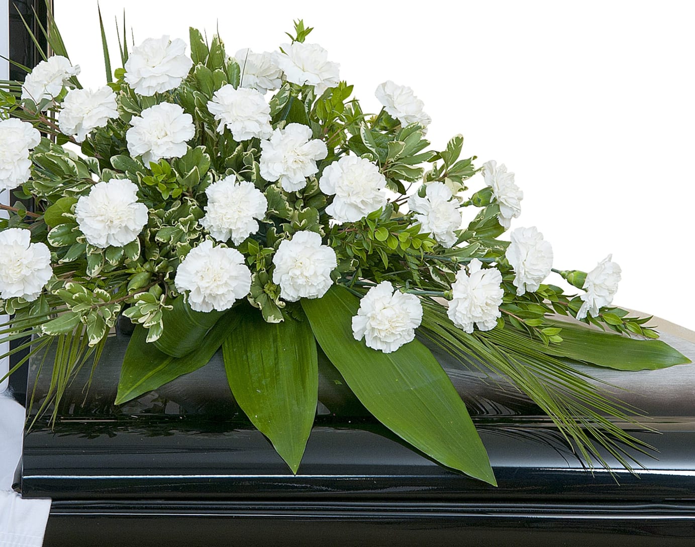 White carnation casket spray with lush foliage on a black casket