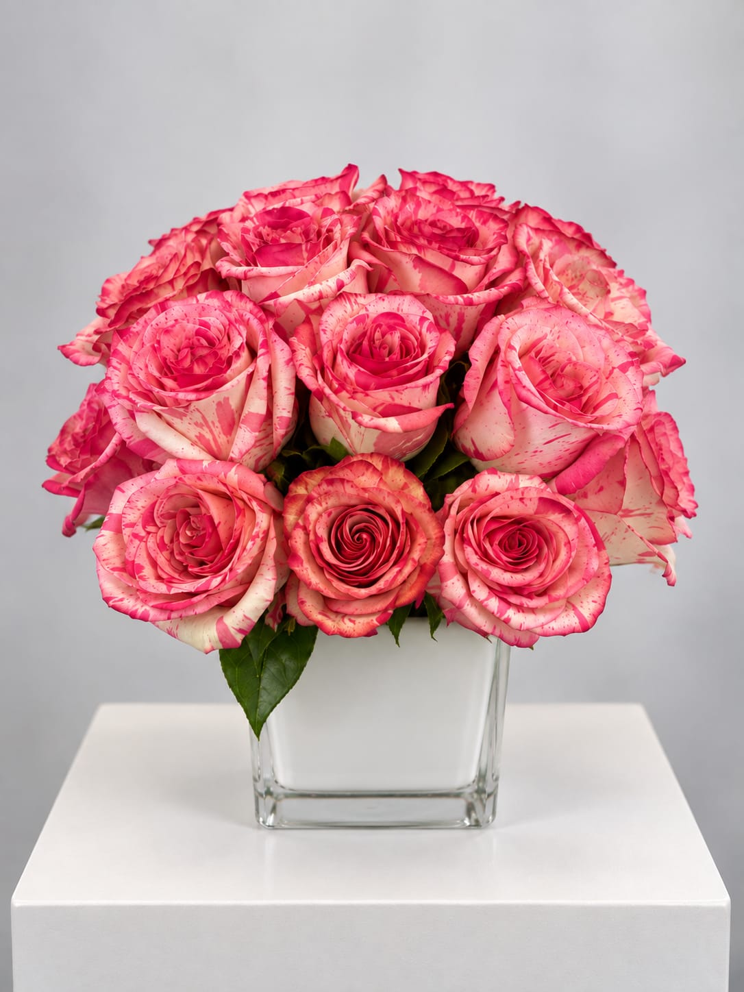 Pink speckled roses arranged in a clear square vase