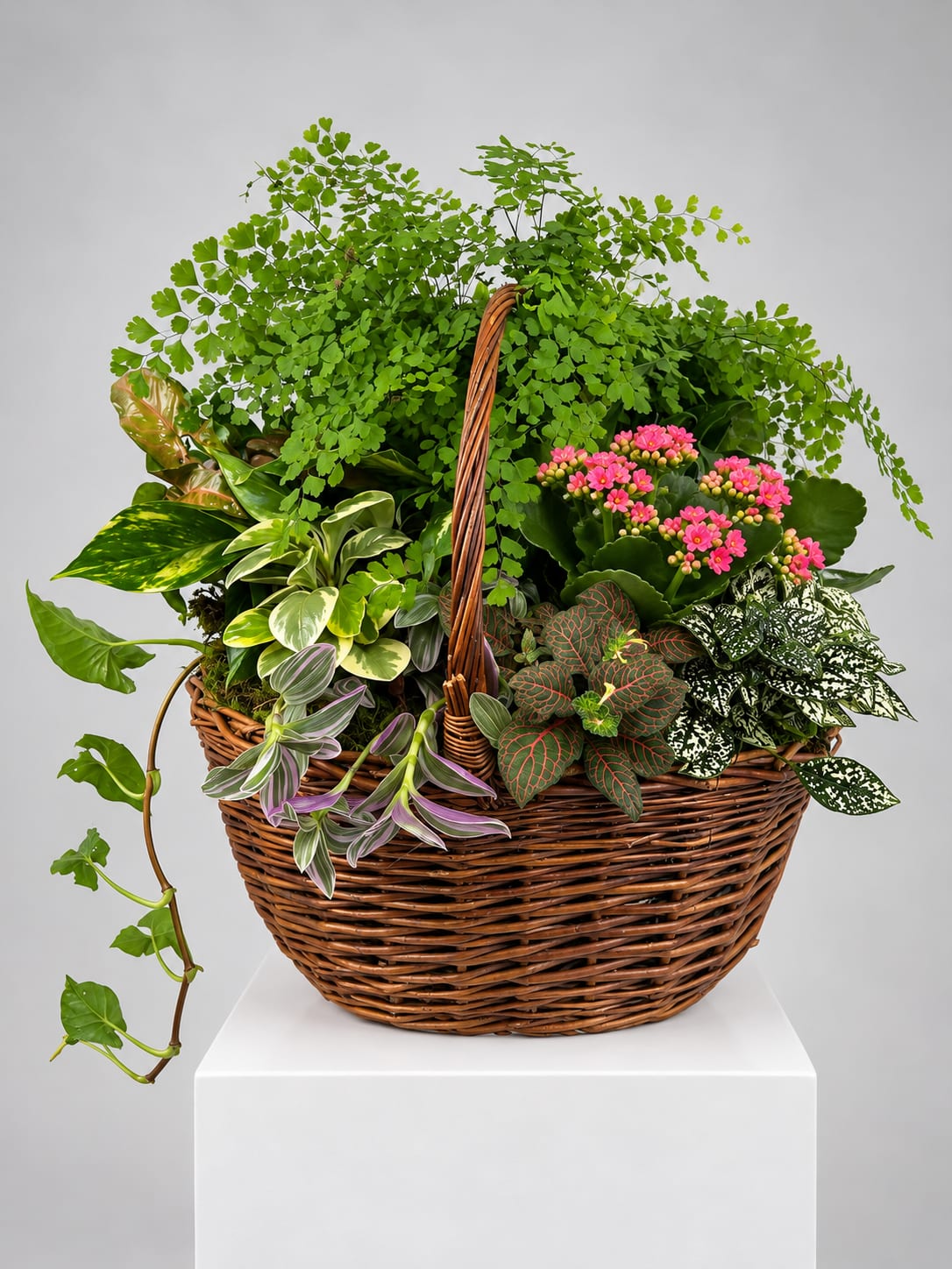 Mixed potted plants and pink flowers in a wicker basket