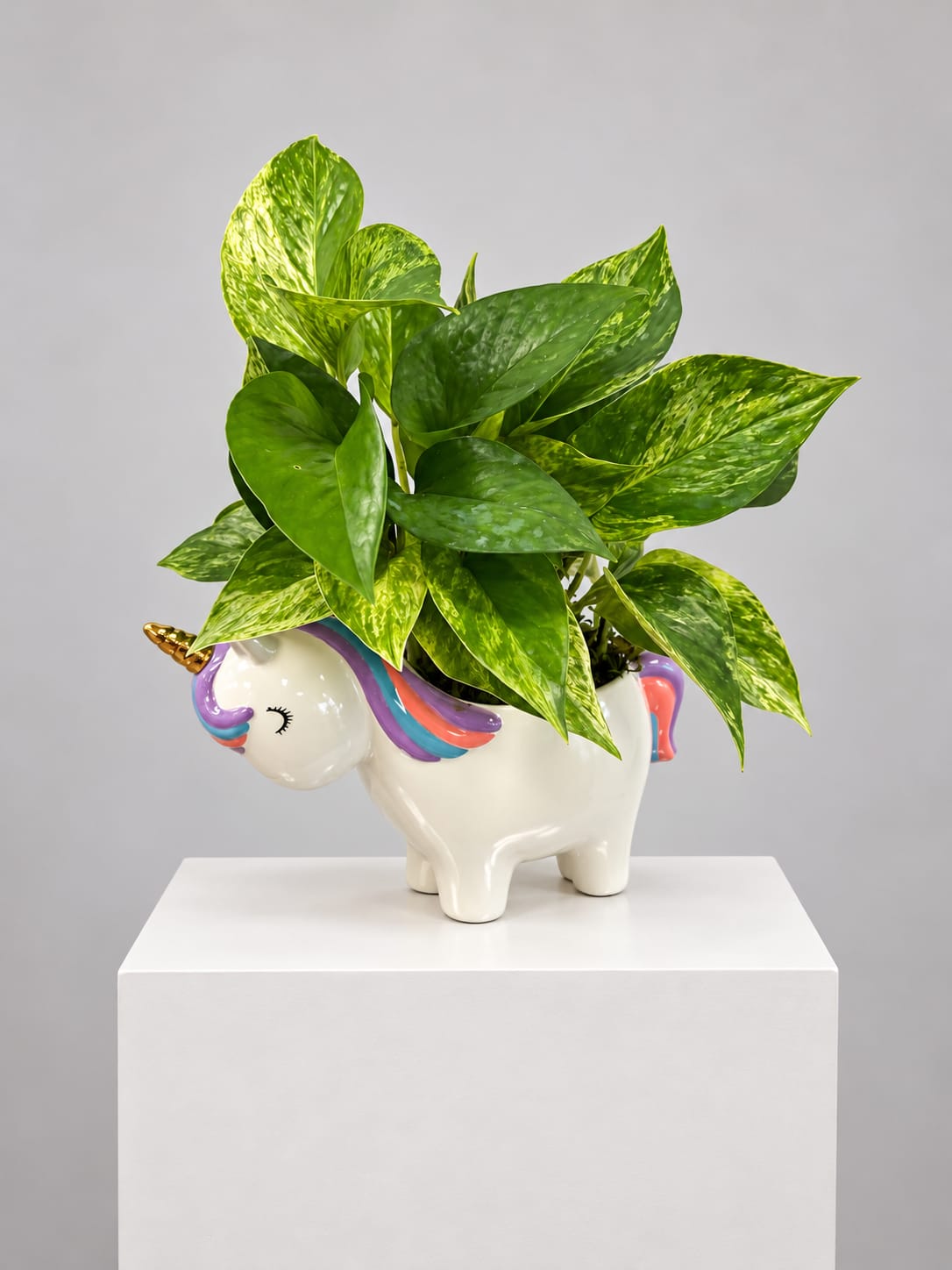 Potted green plant in a unicorn-shaped ceramic planter