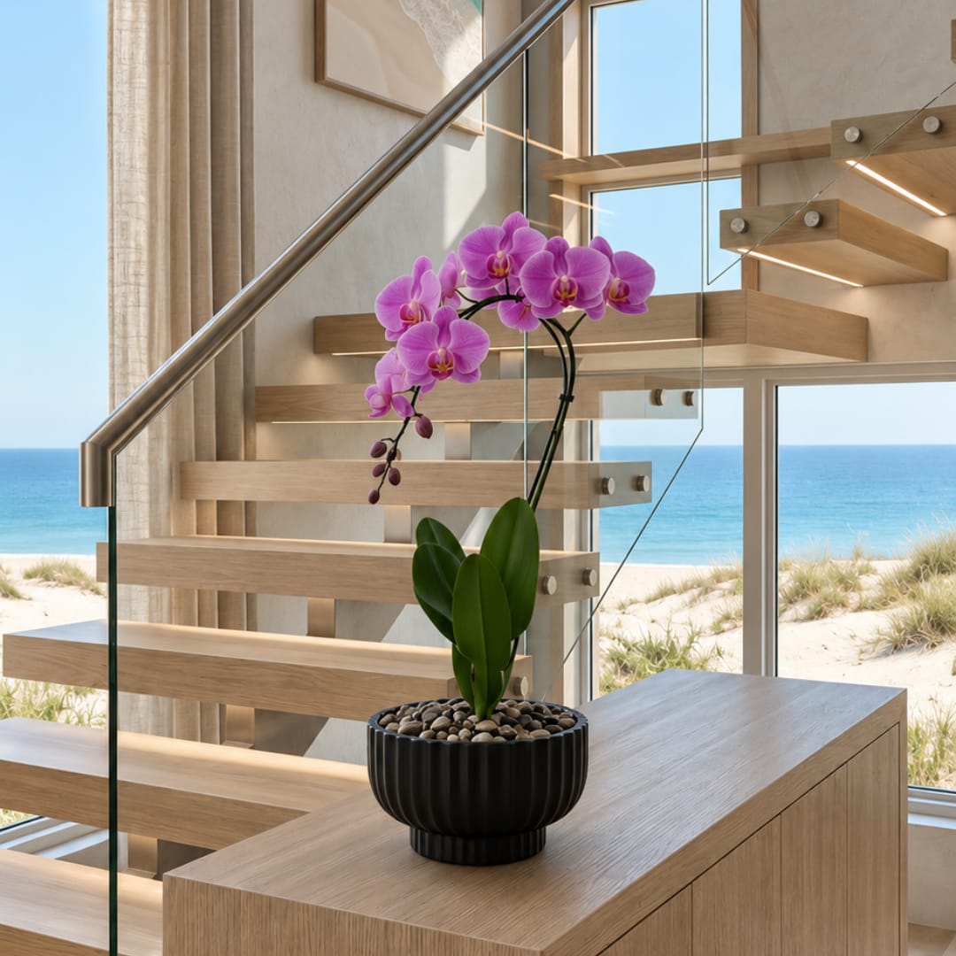 Potted pink orchid with blooms on a wooden table by a staircase