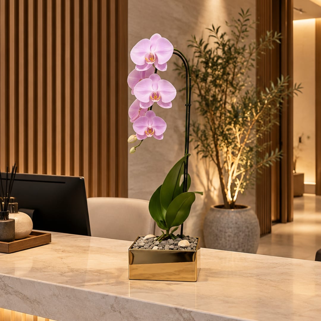 Pink orchid in a gold square planter on a countertop