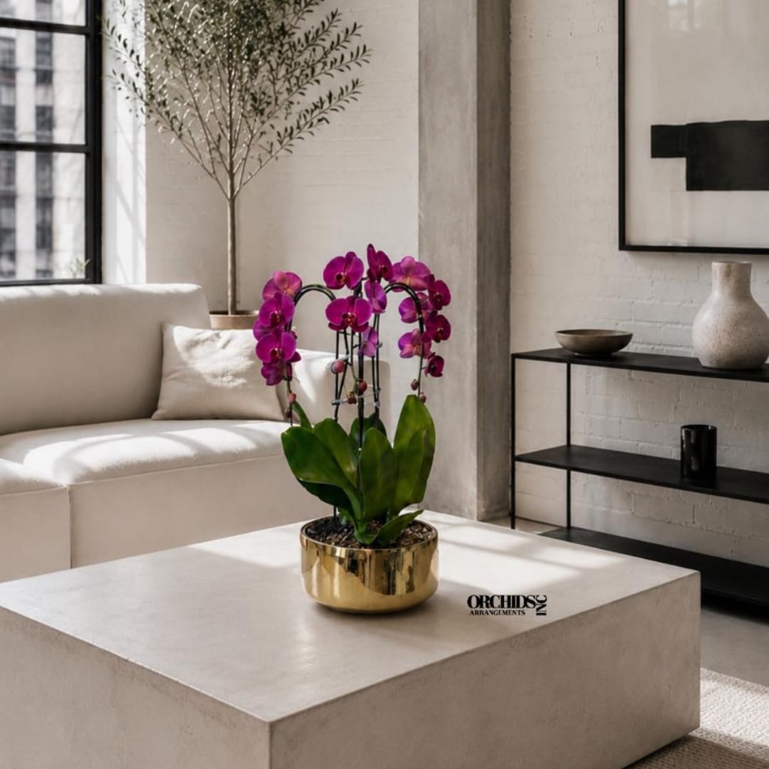 Potted purple orchids in a gold bowl on a coffee table