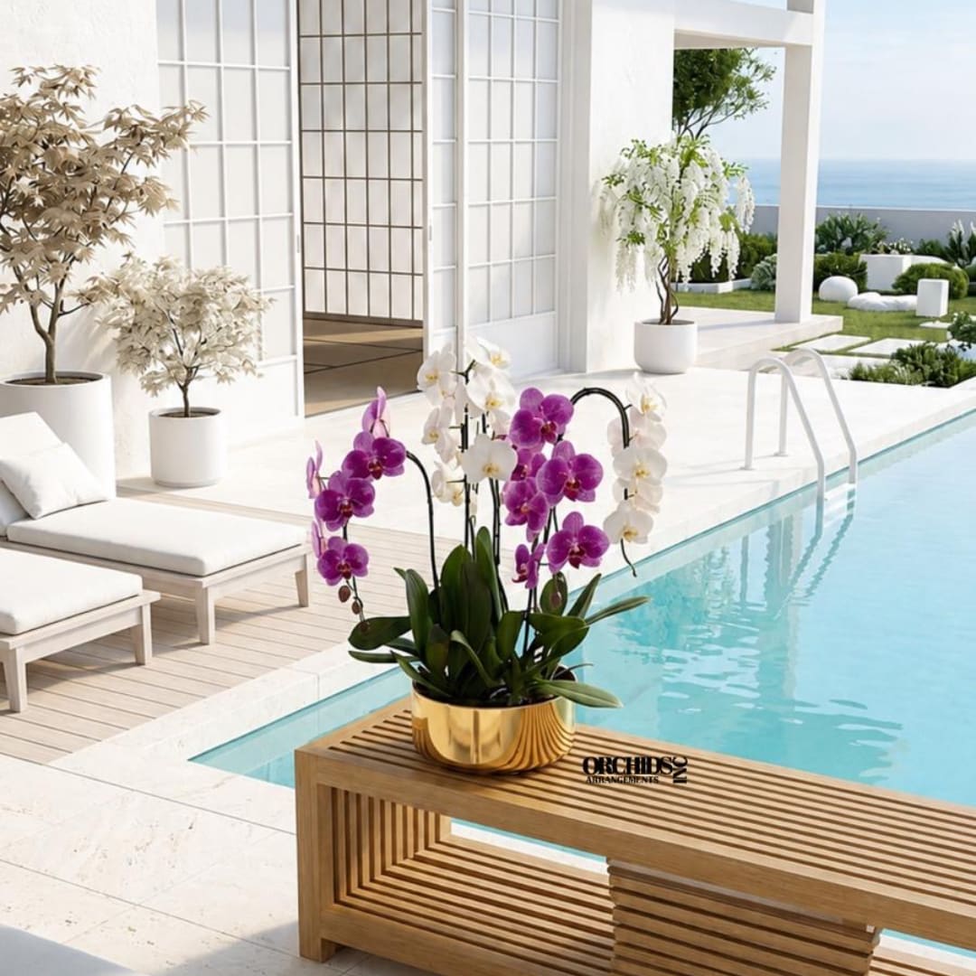 Potted orchids in a gold container beside a pool