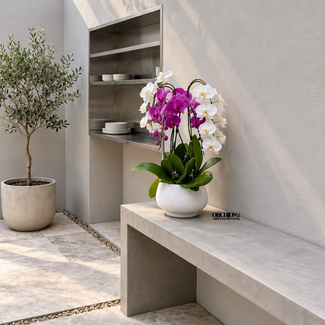 White and purple orchids in a white pot on a stone bench