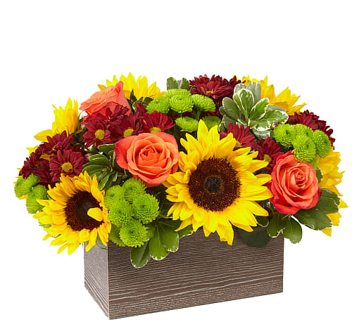 Sunflowers, orange roses, and burgundy mums in a rectangular wooden box