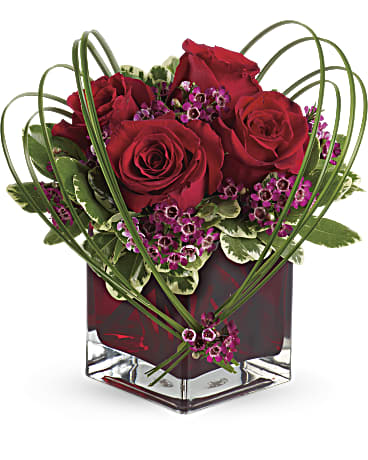 Red roses in a square glass vase with looping green stems