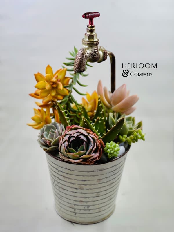 Succulent arrangement in a striped metal pot with a faucet topper