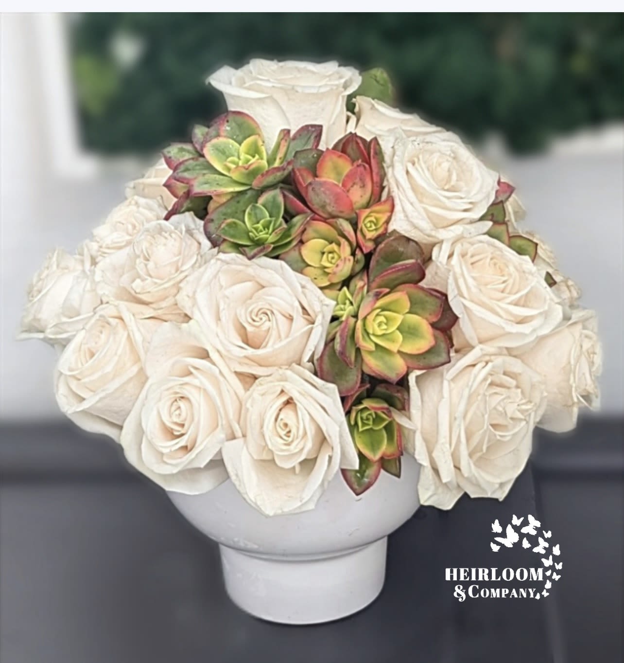 White roses and colorful succulents arranged in a white vase
