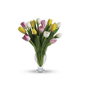 Bouquet of pink, yellow, and white tulips in a clear glass vase