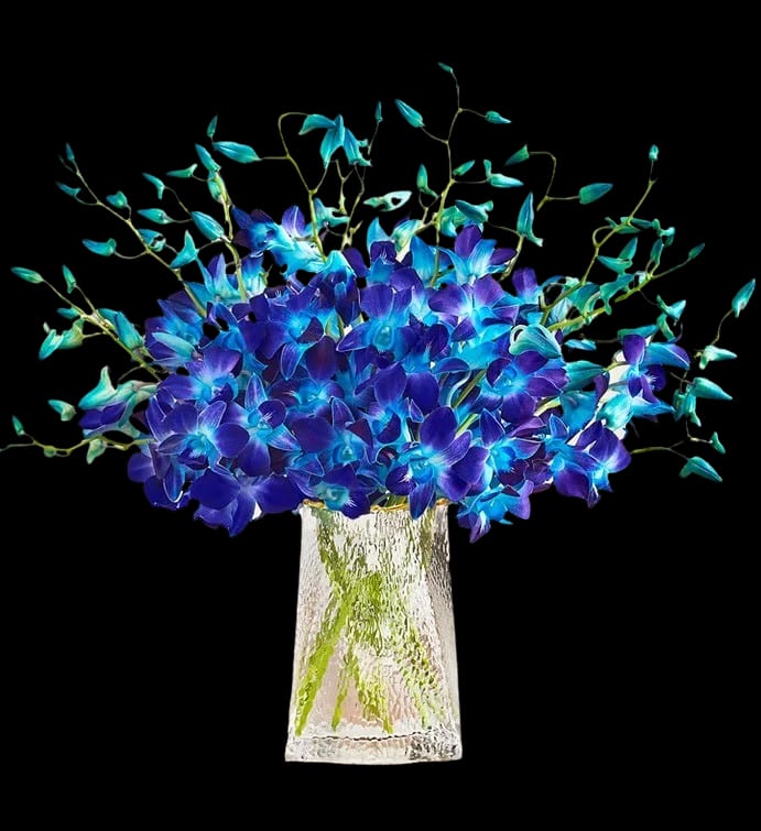 Ocean Blue Dendro Bouquet  - Ocean Blue Dendro Bouquet 