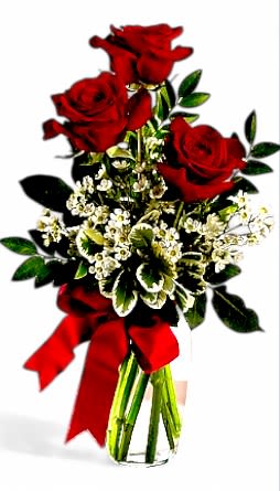 Red roses with white filler flowers in a clear vase and red ribbon