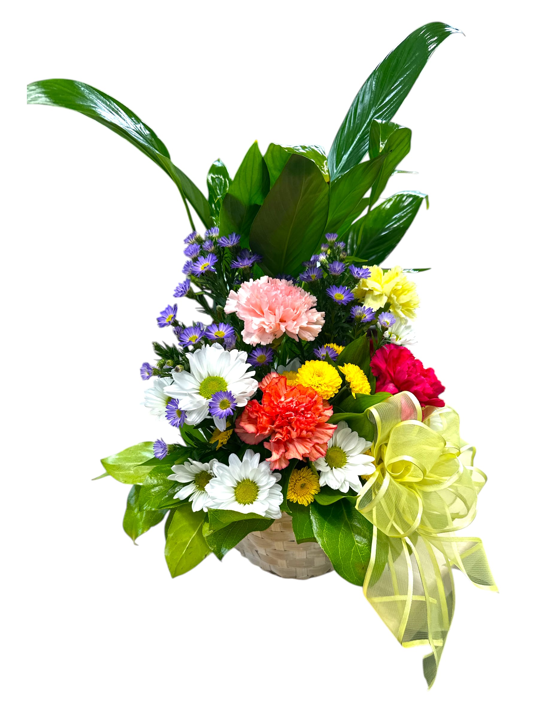 Mixed flower basket with daisies, carnations, and a yellow ribbon