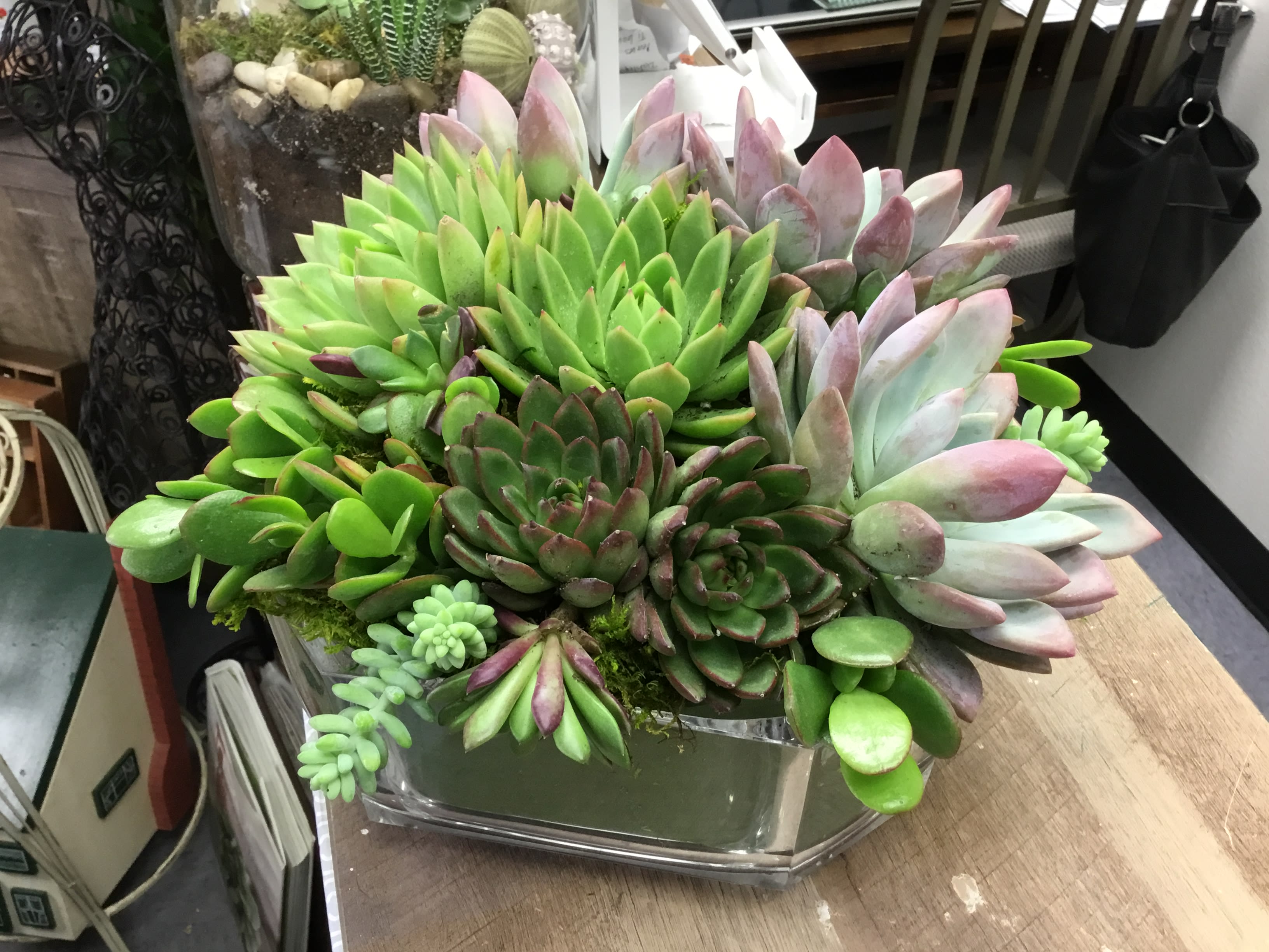 Succulent arrangement in a clear glass container