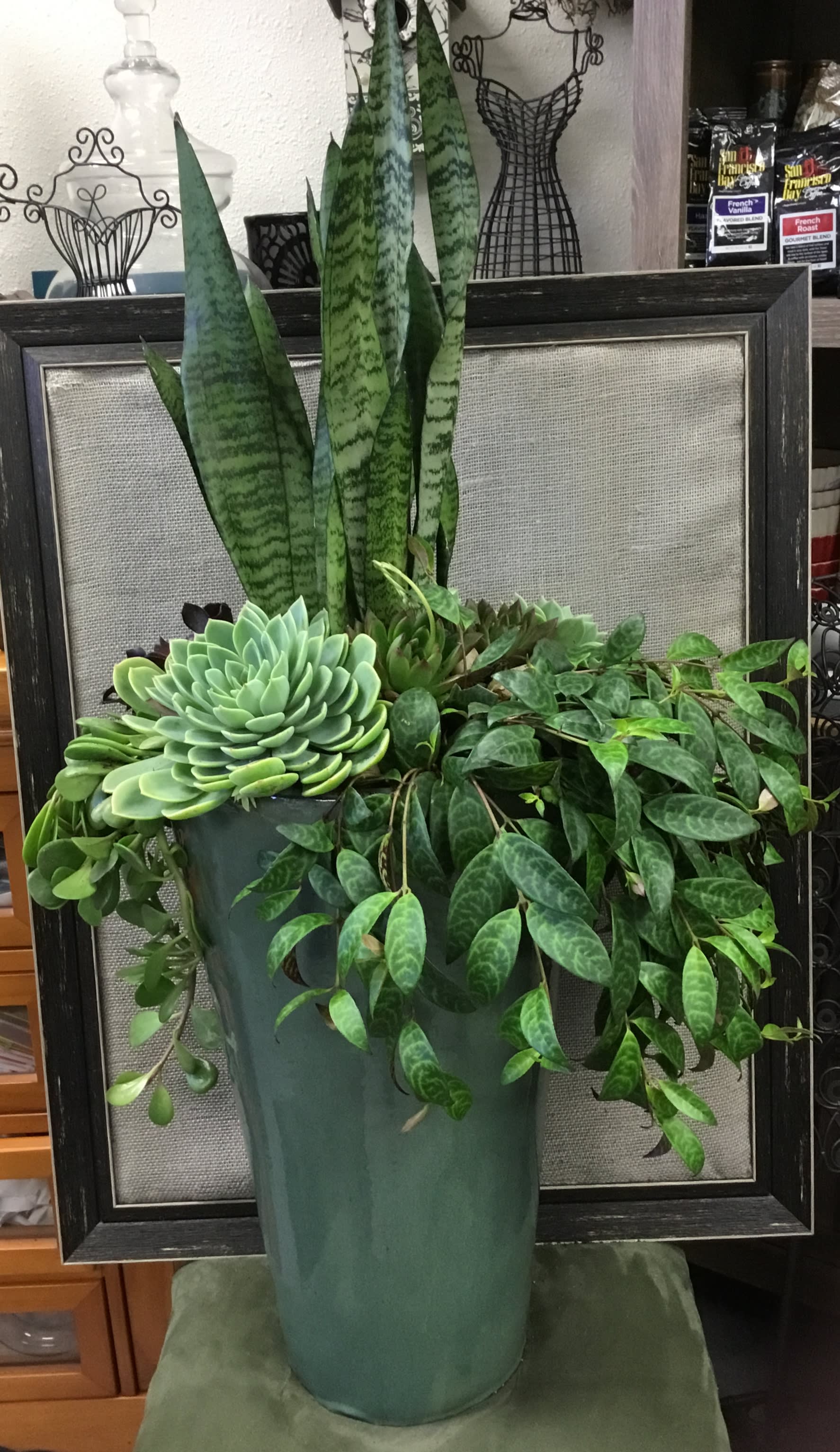 Succulent and snake plant arrangement in a tall green pot