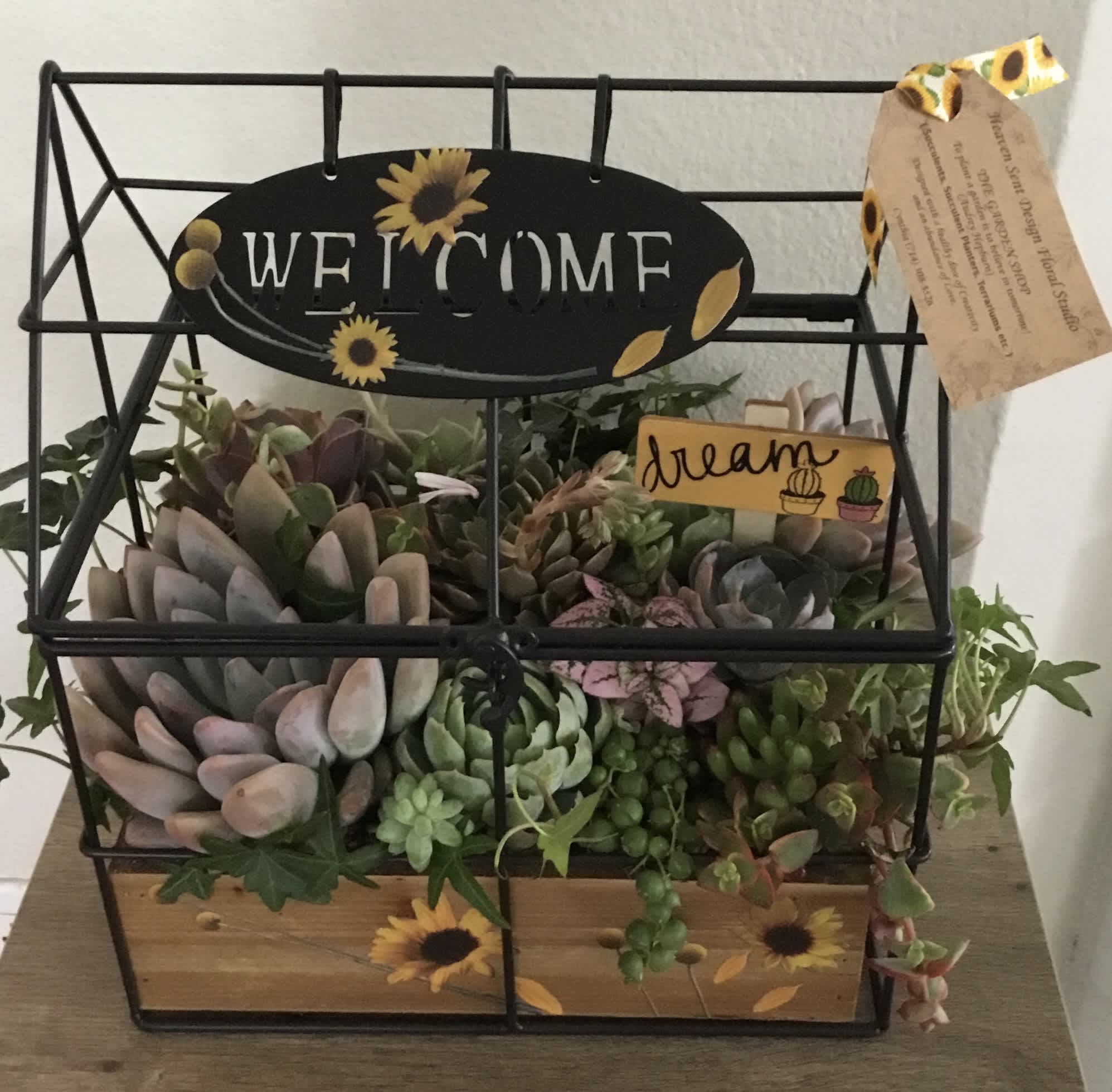 Succulent arrangement in a black wire basket with a welcome sign